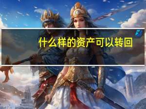 什么样的资产可以转回