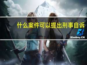 什么案件可以提出刑事自诉