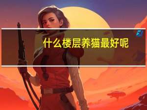 什么楼层养猫最好呢