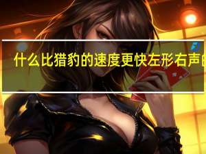 什么比猎豹的速度更快左形右声的字（左形右声的字）