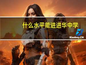 什么水平能进进华中学