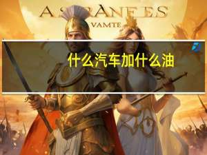 什么汽车加什么油
