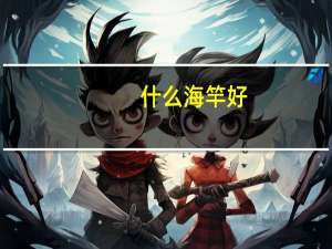 什么海竿好