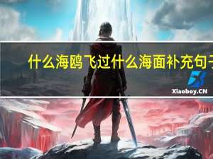 什么海鸥飞过什么海面补充句子