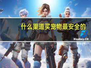 什么渠道买宠物最安全的
