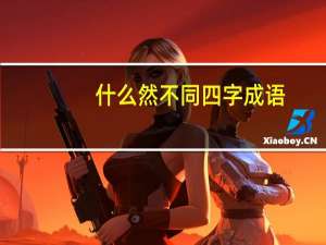 什么然不同四字成语