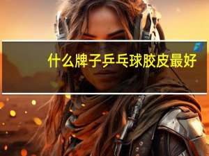 什么牌子乒乓球胶皮最好