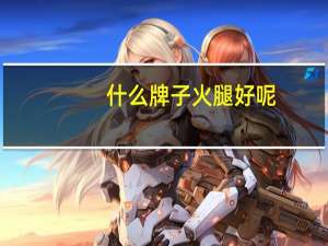 什么牌子火腿好呢