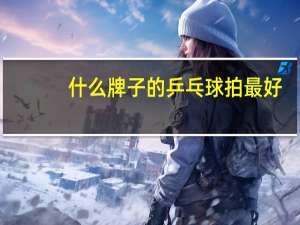 什么牌子的乒乓球拍最好