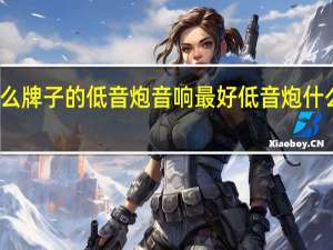 什么牌子的低音炮音响最好 低音炮什么牌子好