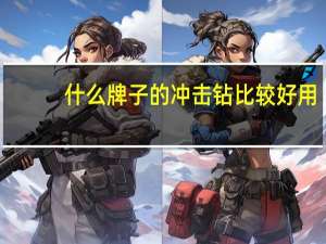 什么牌子的冲击钻比较好用