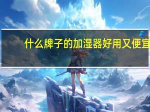 什么牌子的加湿器好用又便宜（什么牌子的加湿器好）