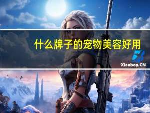 什么牌子的宠物美容好用