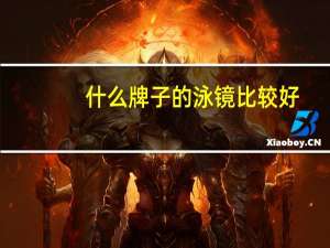 什么牌子的泳镜比较好