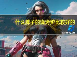 什么牌子的烧烤炉比较好的