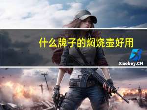 什么牌子的焖烧壶好用