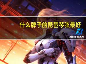 什么牌子的琵琶琴弦最好