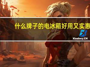 什么牌子的电冰箱好用又实惠（什么牌子的电冰箱好）