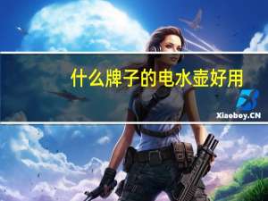 什么牌子的电水壶好用（什么牌子的电水壶好）