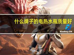 什么牌子的电热水瓶质量好