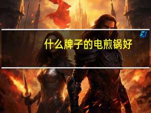 什么牌子的电煎锅好
