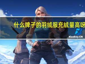 什么牌子的羽绒服充绒量高呀