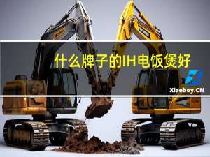 什么牌子的IH电饭煲好