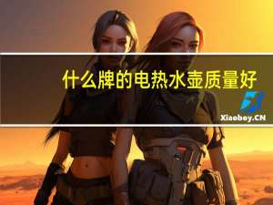 什么牌的电热水壶质量好（什么牌电热水壶好）