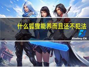 什么狐狸能养而且还不犯法