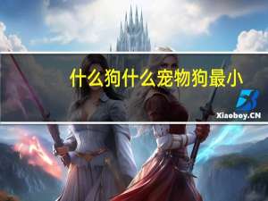 什么狗什么宠物狗最小