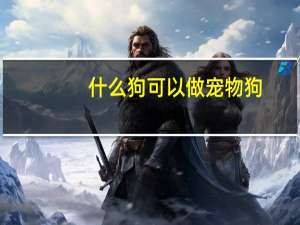 什么狗可以做宠物狗