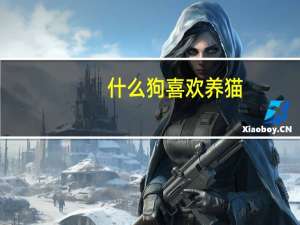 什么狗喜欢养猫