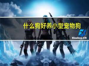 什么狗好养小型宠物狗