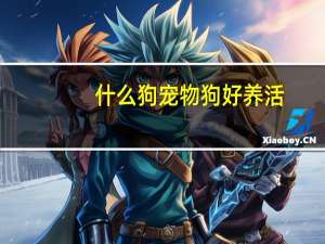 什么狗宠物狗好养活
