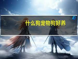 什么狗宠物狗好养