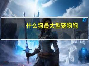 什么狗最大型宠物狗