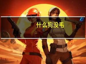 什么狗没毛