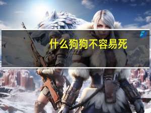 什么狗狗不容易死