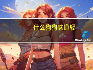 什么狗狗味道轻
