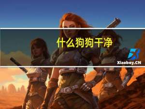 什么狗狗干净