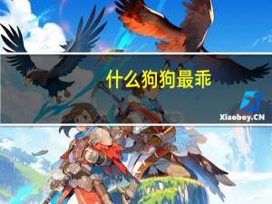 什么狗狗最乖