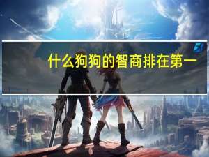 什么狗狗的智商排在第一