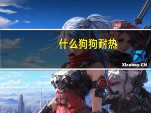 什么狗狗耐热