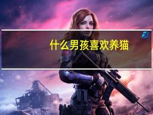 什么男孩喜欢养猫