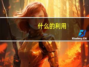 什么的利用