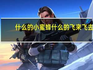 什么的小蜜蜂什么的飞来飞去