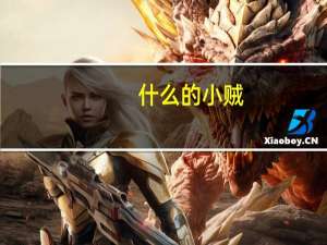 什么的小贼（小贼多情）