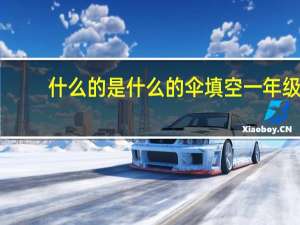 什么的是什么的伞填空一年级