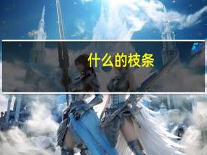 什么的枝条