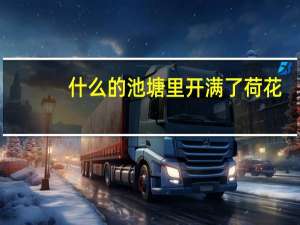 什么的池塘里开满了荷花。